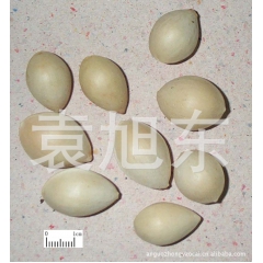 批发供应中药材  白果 白果仁