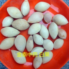 供应中药材 白果 敛肺气 定喘嗽 止带浊 缩小便