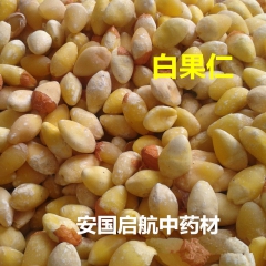 中药材批发优质 白果 银杏果 白果���