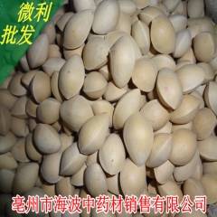 批发优质白果 干货白果 厂家直销 量大从优