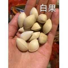 批发香果 玉果500g 卤料调味品 白果 土特产干货