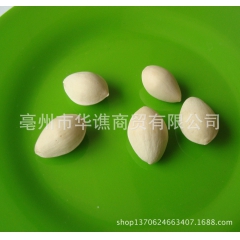 银杏果 白果 承接各种原料粉碎业务 可提供发票