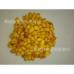 中药材批发优质 白果 银杏果 白果仁 祛痰 止咳 润肺 定喘...