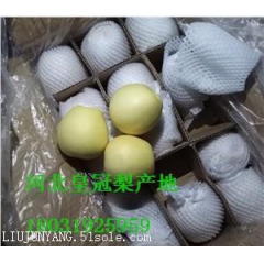 2017年新下树皇冠梨价格有点上涨