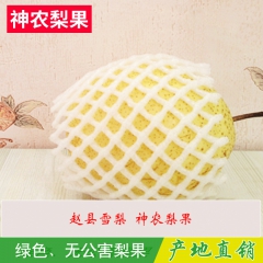 生产供应 河北赵县60优质雪花梨 口味甘甜雪梨 皮薄肉多雪梨