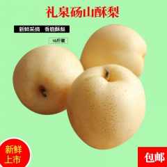 陕西香绿腾现摘现发礼泉皇冠梨 砀山酥梨 雪梨 香梨新鲜10斤