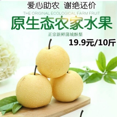 吃一口流一手 农家现摘 酥梨 新鲜酥脆赛河北皇冠梨香梨雪梨 ...