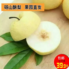 陕西香绿腾现摘现发礼泉皇冠梨砀山酥梨 雪梨 香梨新鲜10斤包...