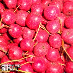 产地直销鲜山楂，手摘优质甜红子，新鲜山楂果，糖雪球专选产品