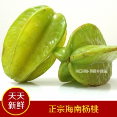 海南杨桃 新鲜时令水果 香甜多汁 4/斤 原产地海南水果批发