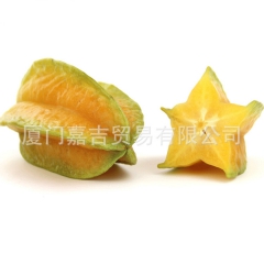 【嘉吉贸易】红龙杨桃 水果批发 直销 新鲜美味