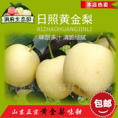 山东特产黄金梨，果品梨皇冠梨雪梨丰水梨，水果梨 梨 10斤包...