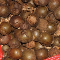 批发 花果茶 广西 永福 罗汉果 碎果 散装500g 非坏果...
