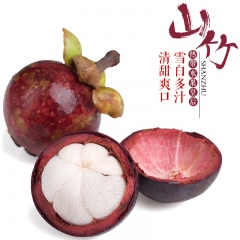 新鲜泰国山竹 油竹新鲜时令水果5斤包邮现货批发欢迎采购