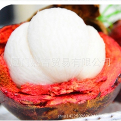 精品推荐 优质山竹 新鲜休闲美味山竹 纯天然批发山竹