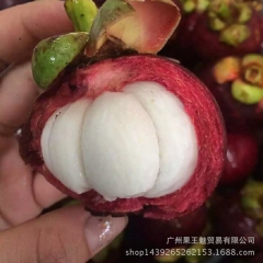正宗泰国印尼山竹 进口新鲜水果进口高档水果批发 大量供应