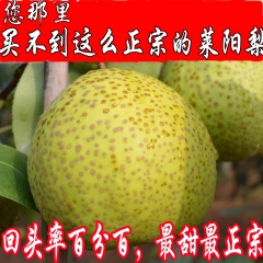 预售正宗山东莱阳梨 包邮 新鲜水果甜脆比汤山梨好有机