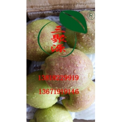 香梨一件代发 水果批发商三源果品香梨 特级香梨新鲜水果
