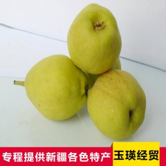 专业提供 新疆库尔勒新鲜香梨  45 55个装15斤箱