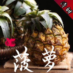 泰国进口新鲜迷你小菠萝 普吉岛小菠萝 香甜爽脆 7斤包邮