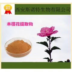木槿花提取物 木槿素