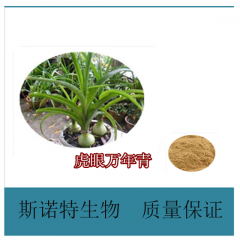 厂家现货优质虎眼万年青提取物 虎眼万年青