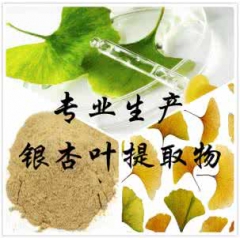 大量现货供应银杏叶提取物 银杏黄酮24%