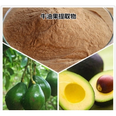 牛油果提取物 鳄梨粉 质量保证