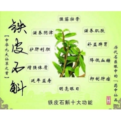 铁皮石斛提取物  提取物