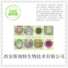 马齿苋提取物  提取物厂家