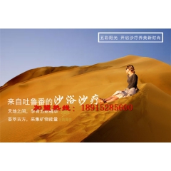沙疗盐蒸的价格及盈利方式（表格）