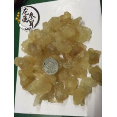龙函参茸 雪燕批发 天山雪燕 美容食品  特价批发