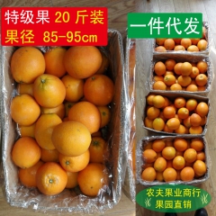 预售赣南脐橙 新鲜水果 橙子天然绿色美容食品 20斤包邮85...
