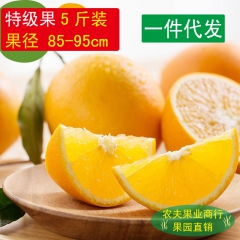 预售赣南脐橙 新鲜水果 橙子天然绿色美容食品 5斤包邮 85...