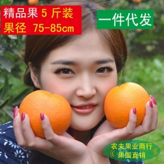 预售赣南脐橙 新鲜水果 橙子天然绿色美容食品 5斤包邮 75...