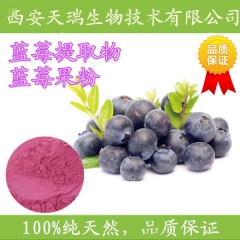 蓝莓提取物粉