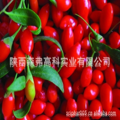 Wolfberry Extract 改善视力 枸杞多糖/枸杞...