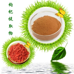 枸杞多糖/枸杞子提取物/枸杞提取物 Wolfberry Ex...