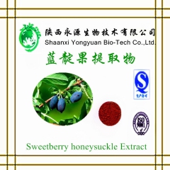 供应蓝靛果提取物花青素20%抗氧化 改善视力