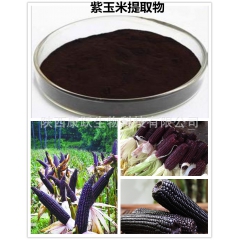 花青素 10:1 紫玉米提取物 有改善视力 提高免疫力作用 ...