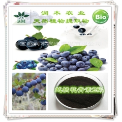 越橘植物提取物 抗氧化剂原料  越橘果实提取物厂家 改善视力