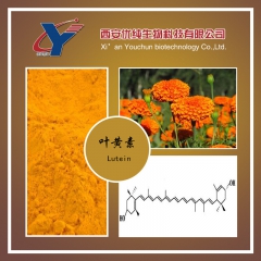 现货供应：万寿菊提取物 20%叶黄素 天然色素/改善视力 批...