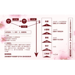 中华老字号 东阿阿胶桃花姬阿胶糕300g
