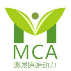 中华老字号 东阿阿胶桃花姬阿胶糕300g
