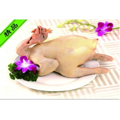 供应 江丰实业卓味 正宗 精品 广府白切鸡