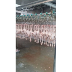 品牌出售 鸡肉产品 优质白条冷冻老母鸡 鸡肉产品厂家 即买即...