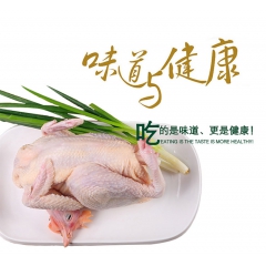 生鲜食材不愁品质，蜀地生态鸡肉让你放心