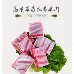 新疆天山贡羊鲜羊排 羔羊排骨奶香无膻腥