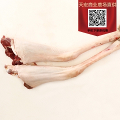 产地直销东北特产现杀新鲜鹿小腿 散装冷冻带皮小腿鹿肉批发