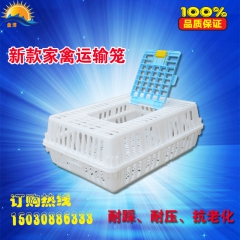 供应成鸡运输笼 鸡周转箱  家禽运输笼 鸭鹅运输笼筐 厂家直...